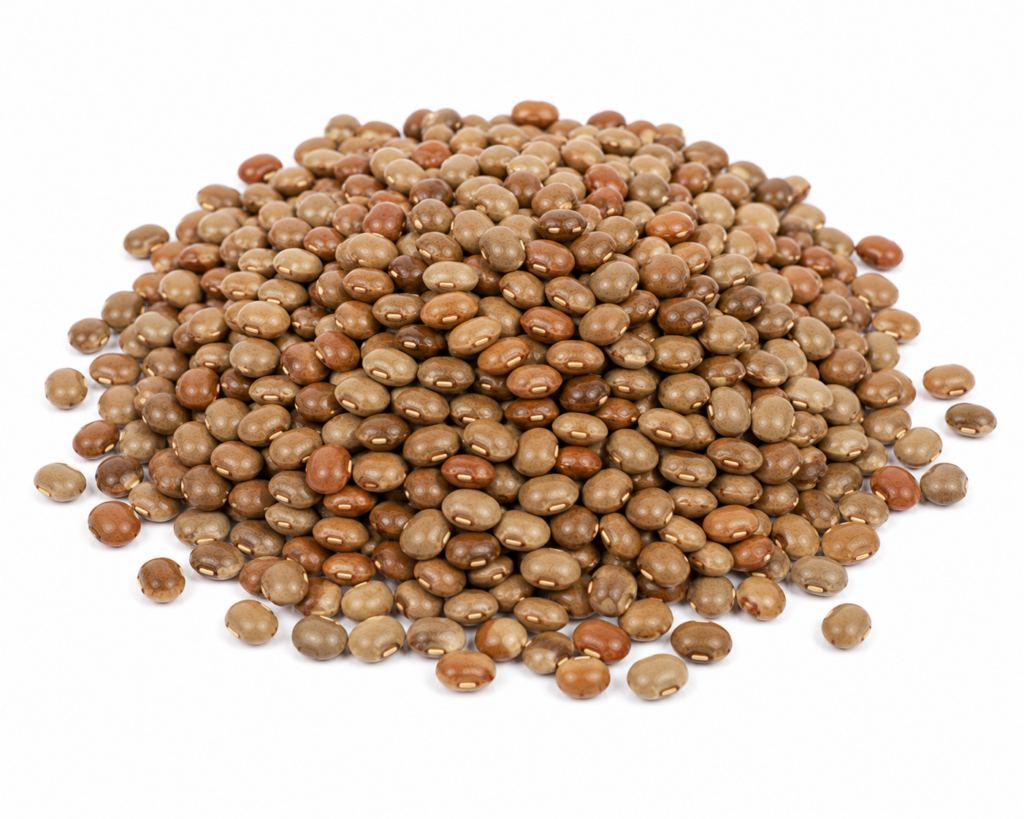 Horse Gram