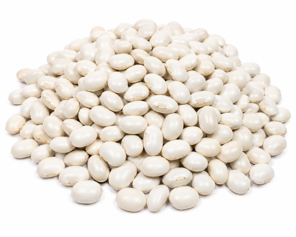 Field Beans
