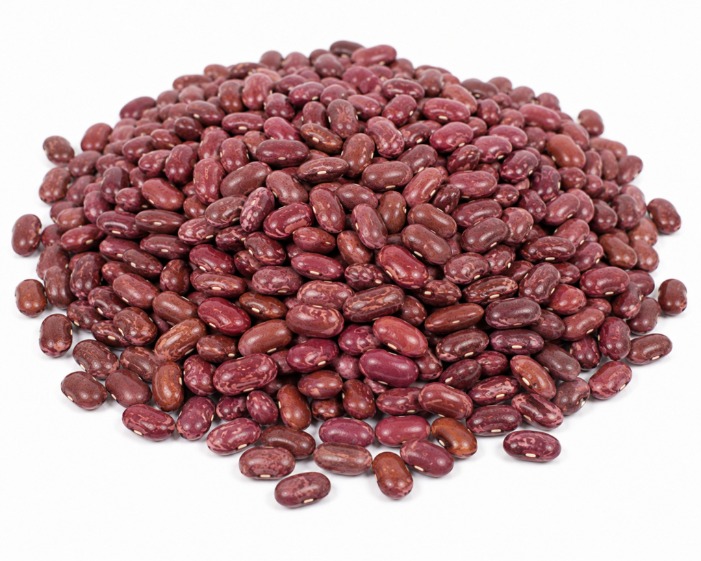 Rajma