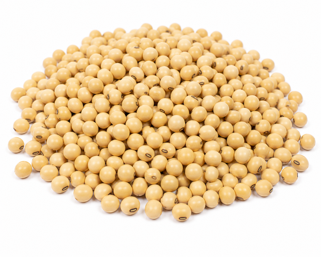 Soya Bean